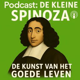 Artwork for De Kleine Spinoza