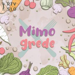 Artwork for Mimo grede