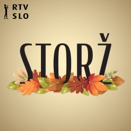Artwork for Storž
