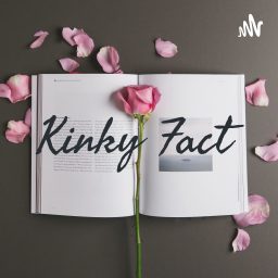 Artwork for Kinky Facts