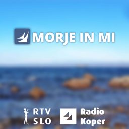 Artwork for Morje in mi