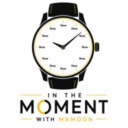 Artwork for In the Moment with Mamoon