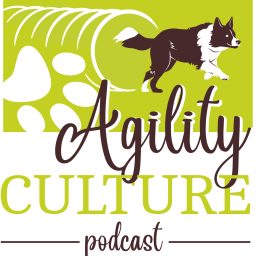Artwork for Agility Culture