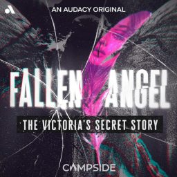 Artwork for Fallen Angel