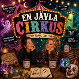 Artwork for En Jävla Cirkus!