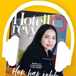 Artwork for Hotellrevyn