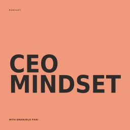 Artwork for CEO Mindset