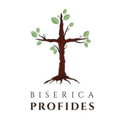 Artwork for Biserica Profides