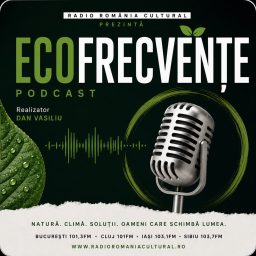 Artwork for EcoFrecvențe
