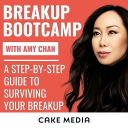Artwork for Breakup Bootcamp