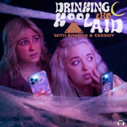 Artwork for Drinking the Koolaid