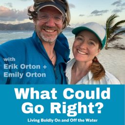 Artwork for What Could Go Right?