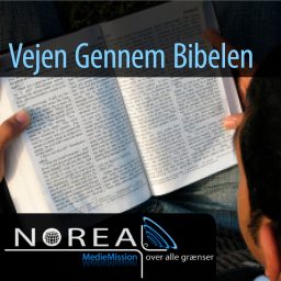 Artwork for Vejen gennem Bibelen