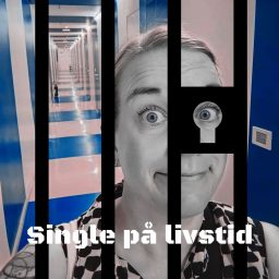 Artwork for Single på livstid