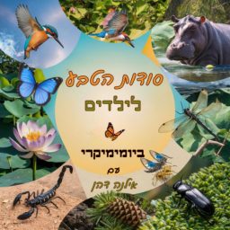 Artwork for סודות הטבע לילדים