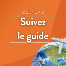 Artwork for Suivez le guide