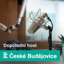 Artwork for Dopolední host