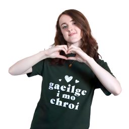 Artwork for Gaeilge i mo chroí