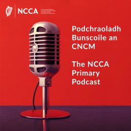 Artwork for The NCCA Primary Podcast