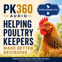Artwork for PK360 Audio