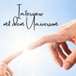 Artwork for Interview mit dem Universum