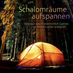 Artwork for Schalomräume aufspannen
