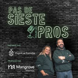 Artwork for Pas de sieste pour les pros