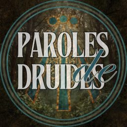 Artwork for Paroles de Druides
