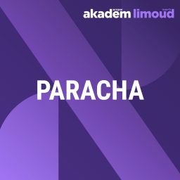 Artwork for Paracha de la semaine 5786