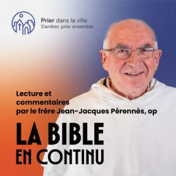 Artwork for La Bible en continu