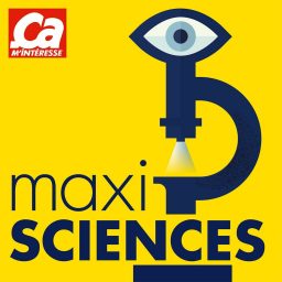 Artwork for Maxisciences