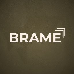 Artwork for BRAME