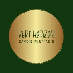 Artwork for Vert horizon