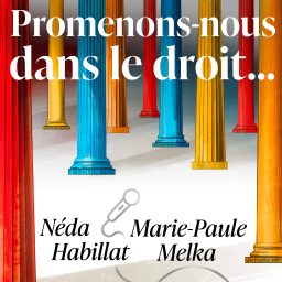 Artwork for Promenons-nous dans le droit...