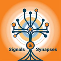 Artwork for Signals &Synapses