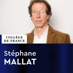 Artwork for Sciences des données - Stéphane Mallat