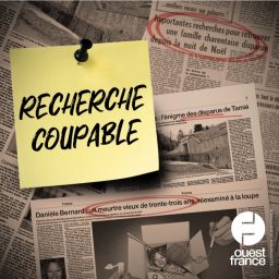 Artwork for Recherche coupable