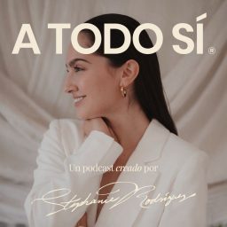 Artwork for A TODO SI