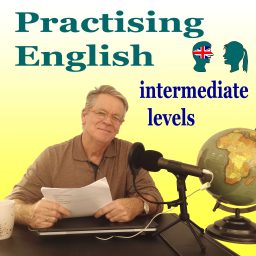 Artwork for Practising English