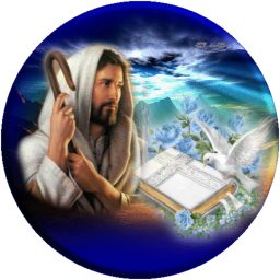 Artwork for Predicaciones Católicas