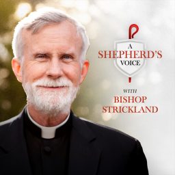 Artwork for A Shepherd's Voice