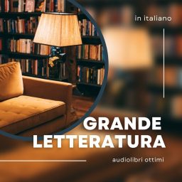 Artwork for AudioLibri