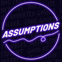 Artwork for Assumptions