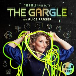Artwork for The Gargle