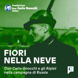 Artwork for Fiori nella neve