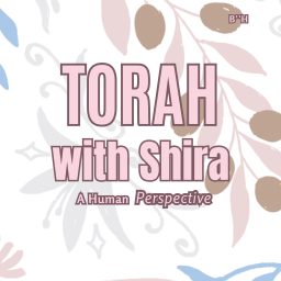 Artwork for Torah with Shira