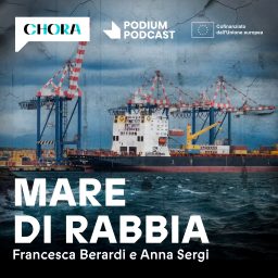Artwork for Mare di rabbia
