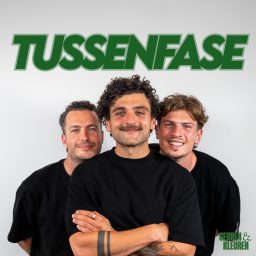 Artwork for Tussenfase