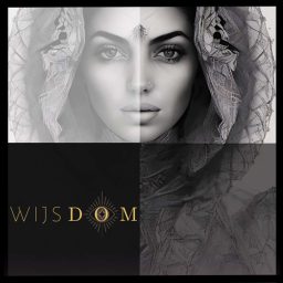 Artwork for WijsDom Podcast
