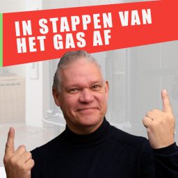 Artwork for IN STAPPEN VAN HET GAS AF